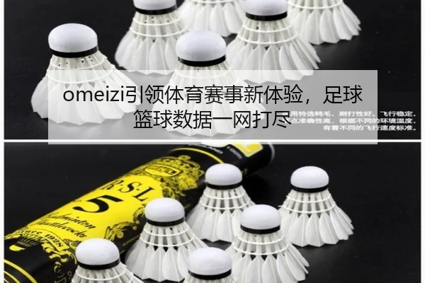 omeizi引领体育赛事新体验，足球篮球数据一网打尽
