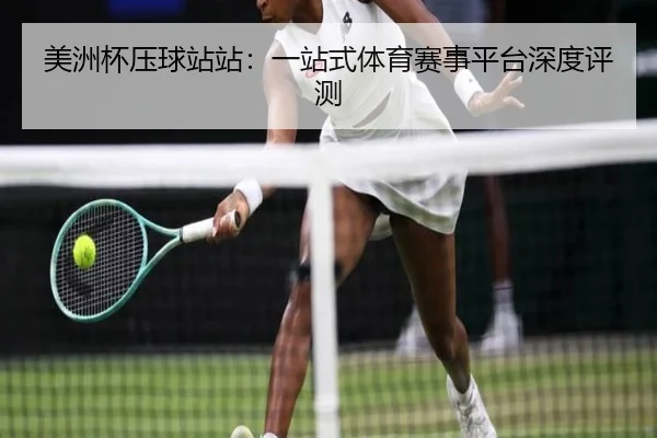 美洲杯压球站站：一站式体育赛事平台深度评测